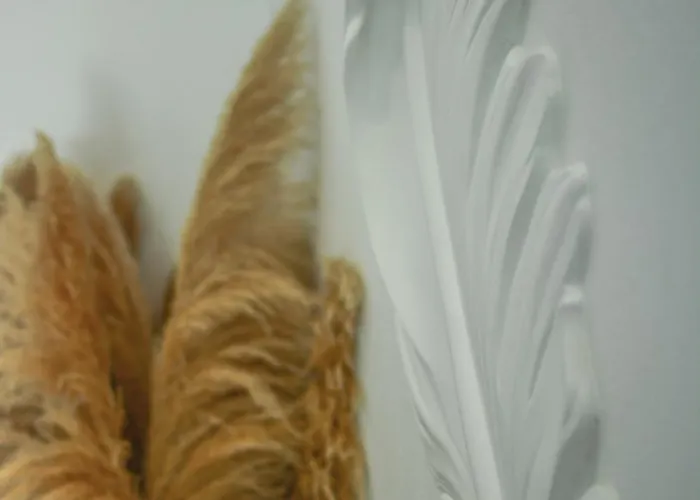 アパート Elysium Luxury Living *